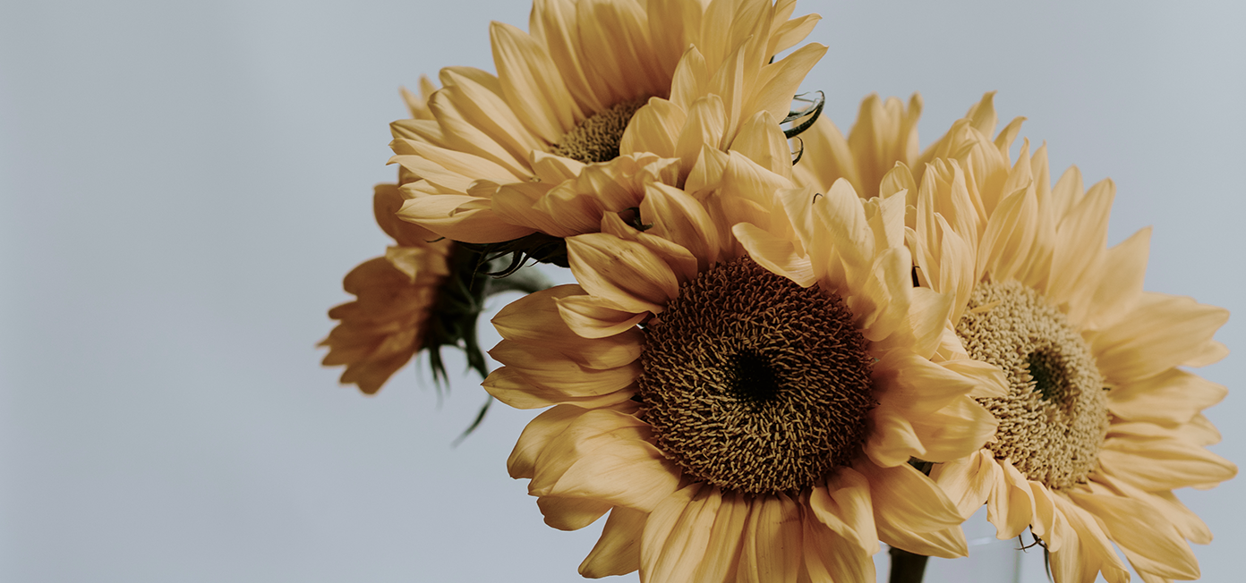bloemen-uitvaart