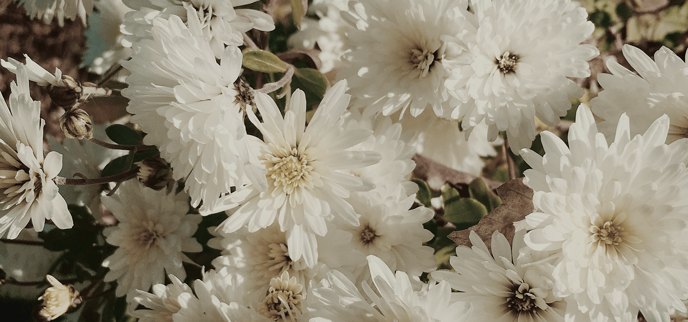 welke-bloemen-uitvaart-min